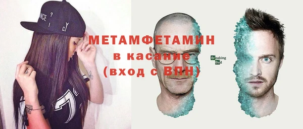сатива Новокубанск