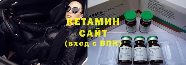 сатива Новокубанск