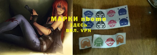 сатива Новокубанск