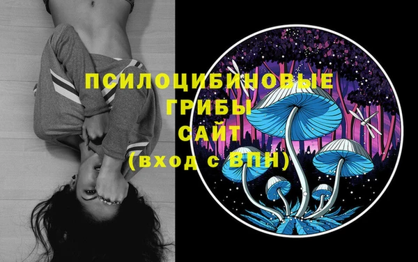 спайс Новодвинск
