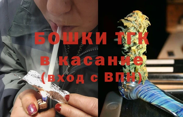 сатива Новокубанск