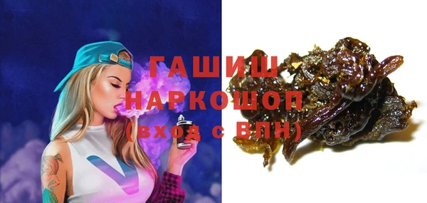 сатива Новокубанск