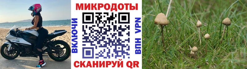 Псилоцибиновые грибы GOLDEN TEACHER  как найти   Азов 