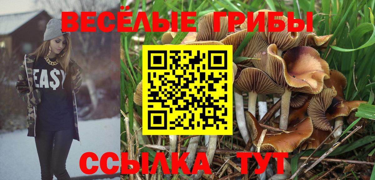 Азов  Галлюциногенные грибы Cubensis  Вход с VPN 
